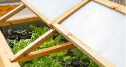 Lecekts ar paceļamu polikarbonāta vāku.