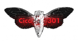 “Cicada 3301” ir mīklu komplekti, kas tika publicēti tiešsaistē, sākot no 2012. gada.