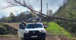 Vētras nogāzts koks. AS "Sadales tīkls" automašīna.