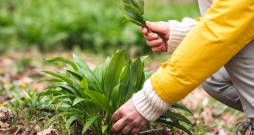 Ilustratīvs attēls.