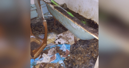 Dzīvoklī Imantā konstatēta spēcīga dzīvnieku urīna un izkārnījumu smaka, kā arī novārguši un miruši mājdzīvnieki.