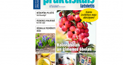 Jaunā žurnāla vāks. Jaunā žurnāla vāks.