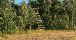Mednieku taisītā trepe – pielāgota konkrētiem apstākļiem.