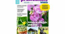 Jaunā žurnāla vāks. Jaunā žurnāla vāks.