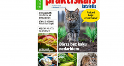 Jaunā žurnāla vāks. Jaunā žurnāla vāks.