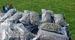 Policija Latgalē izņem rekordlielu marihuānas daudzumu.