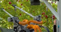 Divrocīgais robots.