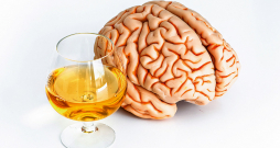 Atteikšanās no alkohola un demences risks. Atteikšanās no alkohola un demences risks.
