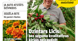 "Praktiskais Latvietis" Nr. 31, 2026. "Praktiskais Latvietis" Nr. 31, 2026.