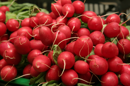 Ar lielo C vitamīna daudzumu redīsi sapurina imunitāti, stiprina asinsvadu sieniņas.