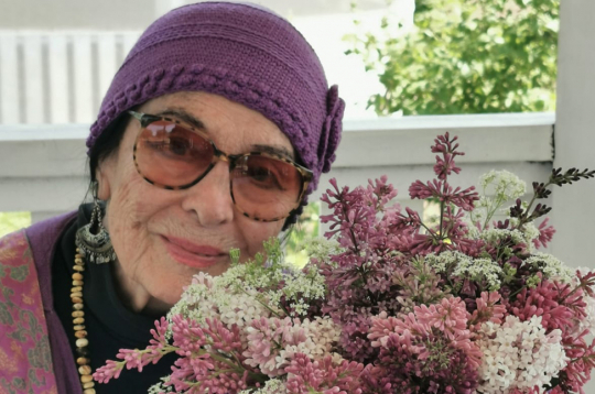 Latvijā Vija Vētra parasti ierodas ceriņu ziedēšanas laikā. Latvijā Vija Vētra parasti ierodas ceriņu ziedēšanas laikā.