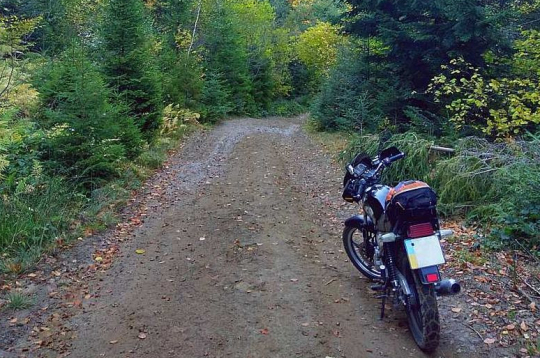 Rīgas pievārtē tagad pavisam legāli iespējams izmēģināt spēkus vairākās meža trasēs, izbraucot ar motociklu vai kvadriciklu.