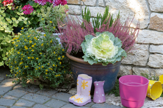 Rudens laiks. Rudens laiks.