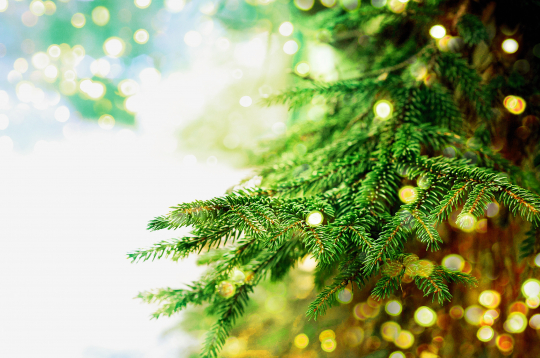 Ziemassvētku laiks.