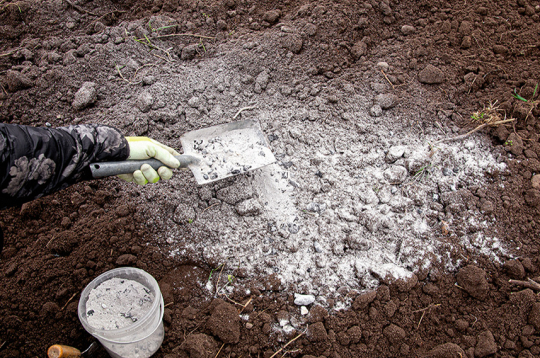 Pelni satur gan augiem vajadzīgas, gan nevajadzīgas vielas, tāpēc ar to izmantošanu dārzā nevajadzētu aizrauties.