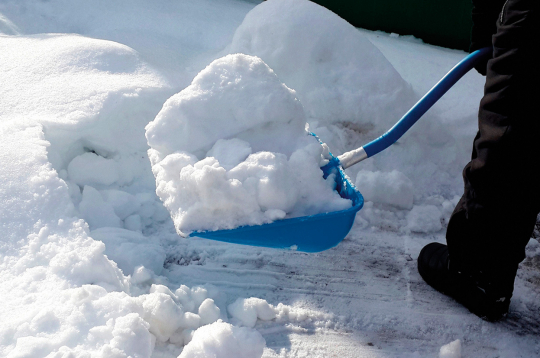 Ziema. Sniegs. Ilustratīvs attēls.