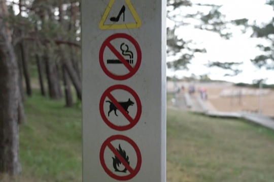 Jūrmalas pludmalē ar suņiem atrasties aizliegts.