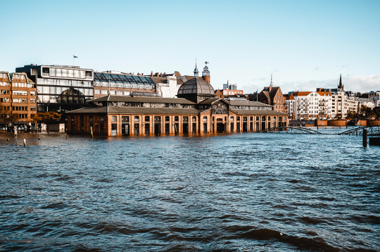 Applūdušais zivju tirgus Hamburgā.