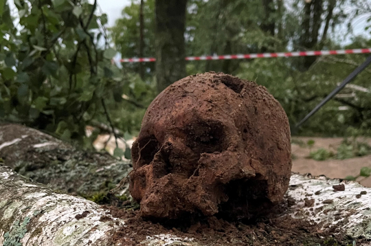 Bauskas pilskalnā atrastais cilvēka galvaskauss pēc 11. jūlija vētras.