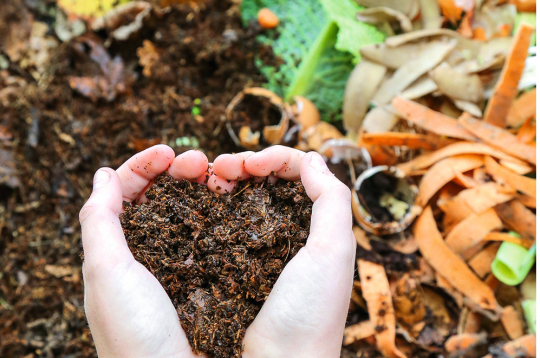 Gatava komposta tekstūra ir smalka un viendabīga. Gatava komposta tekstūra ir smalka un viendabīga.