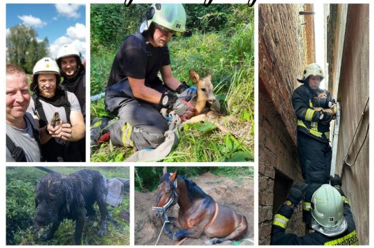 VUGD. Dzīvnieku aizsardzības diena. 