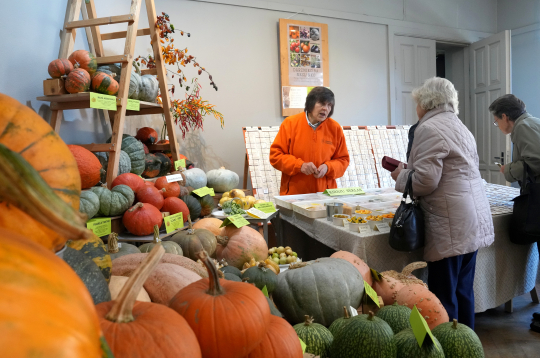 Izstāde "Ķirbjaugi un paprika 2024" Latvijas Dabas muzejā.