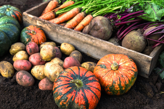 Rudens laiks. Rudens laiks.