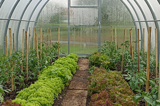 Siltumnīcā izmantoti permakultūras principi.