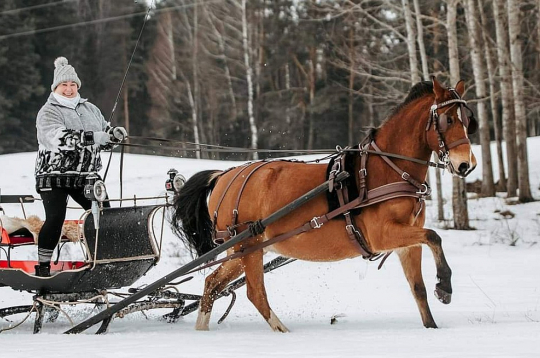 Sacensībās pajūgu braukšanā ar poniju Mimi.