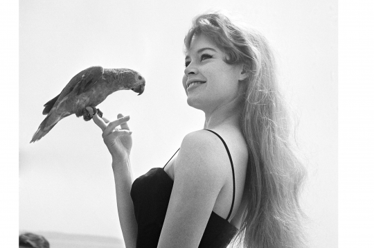 Brižita Bardo, 1956. gads.