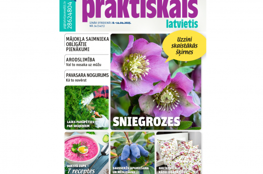 Jaunā žurnāla vāks.