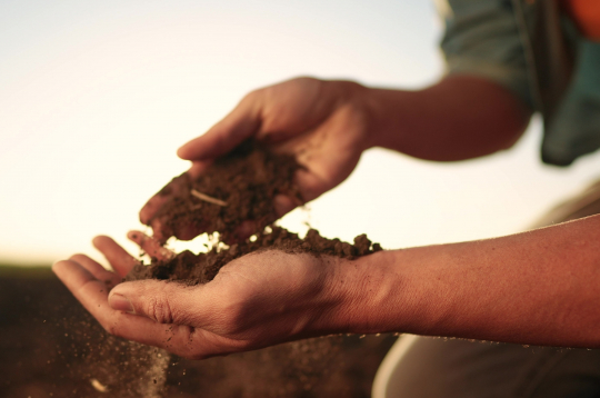 Augsne. Ilustratīvs attēls.
