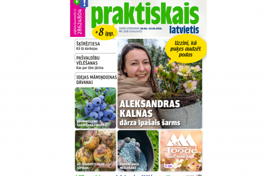 Jaunā žurnāla vāks.