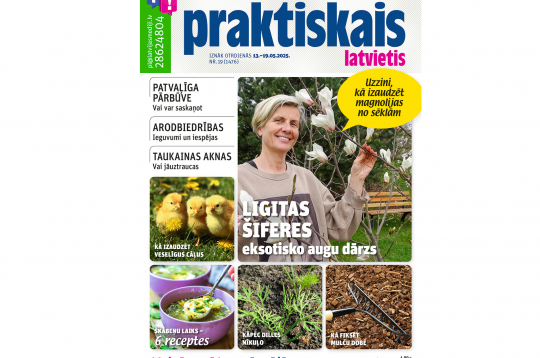 Jaunā žurnāla vāks.