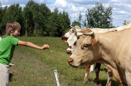 Daudzas zemnieku saimniecības izrādījās negatavas kukaiņu uzbrukumam.