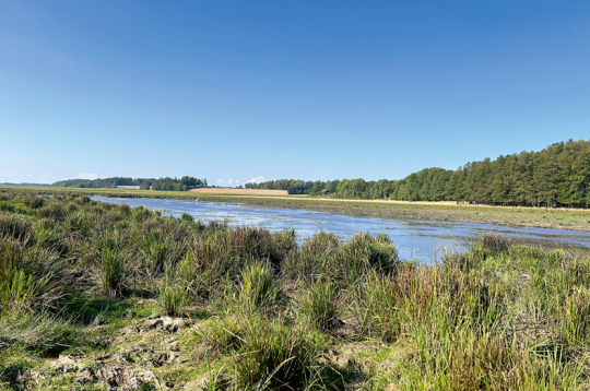 Mākslīgais mitrājs Zviedrijā.