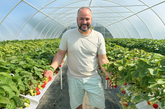 Zemnieku saimniecības "Pasakas" pārvaldnieks Deniss Skvorcevičs (attēlā) un viņa ģimenes locekļi pieprasīto ogu audzēšanai siltumnīcā pievērsušies radoši un inovatīvi. Mērķi – audzēt augstas kvalitātes ogas bez augu aizsardzības līdzekļiem ir izdevies sasniegt.
