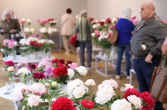 Izstāde "Peonijas 2025" Latvijas Dabas muzejā.