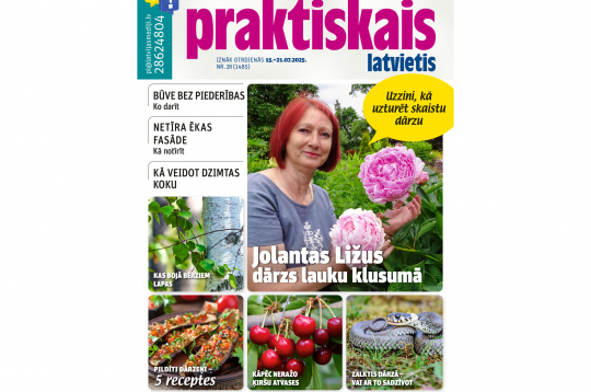 Jaunā žurnāla vāks.