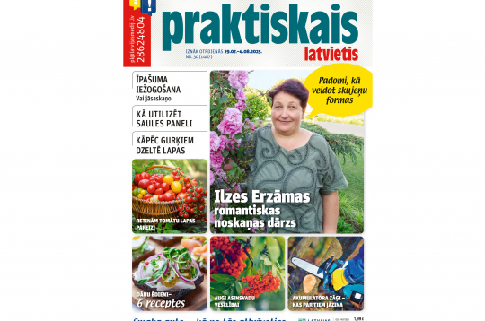 Jaunā žurnāla vāks.