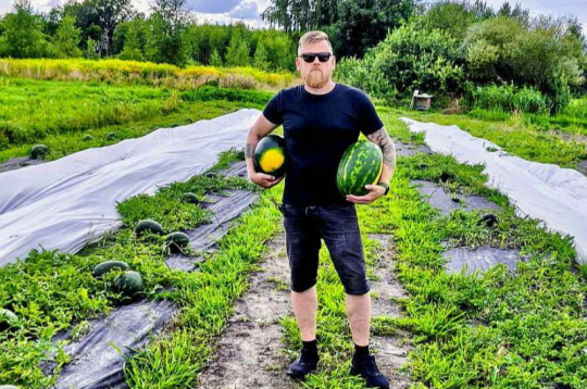 "No plānotajām četrām tonnām šogad arbūzu raža būs tikai 1,2 tonnas. Mūsu lauki atrodas netālu no Jūrmalas, un ražu galvenokārt negatīvi ietekmēja līča ziemeļu vēji. To dēļ jūnijā bites nevarēja palidot un nenotika apputeksnēšanas," stāsta Aldis Stabulnieks no Gātciema Mārupes novadā, kurš arbūzus lielākos apjomos audzē otro gadu.