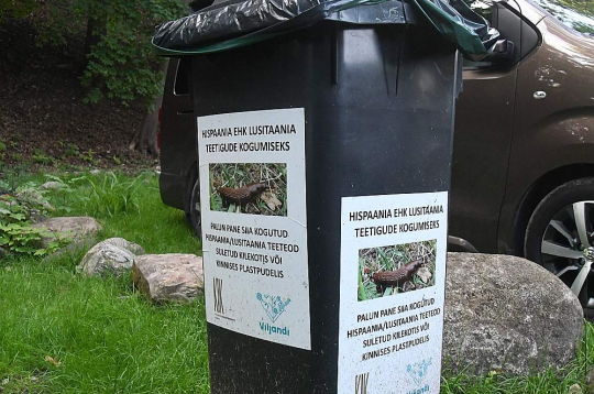 Speciālais konteiners Spānijas kailgliemežu savākšanai Vīlandē.