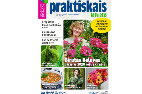 Jaunā žurnāla vāks.