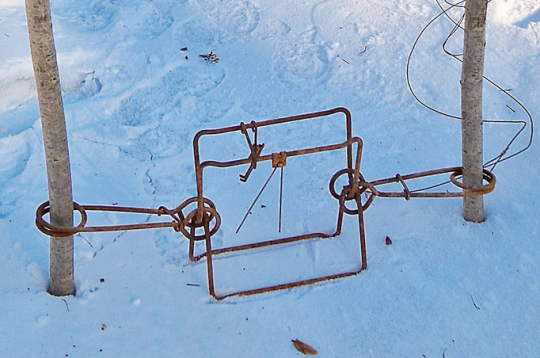 Bebru slazds, uzstādīts starp diviem mietiņiem.