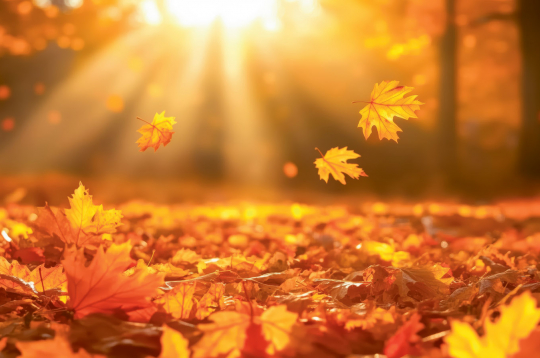 Rudens.