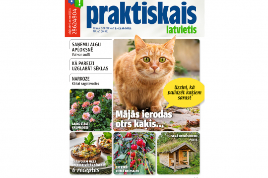 Jaunā žurnāla vāks.