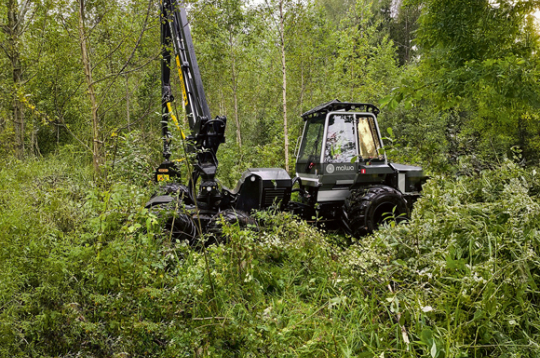 LVM turpina inovāciju ieviešanu meža apsaimniekošanā, uzsākot jaunaudžu kopšanu ar kompaktiem jeb nelieliem harvesteriem.