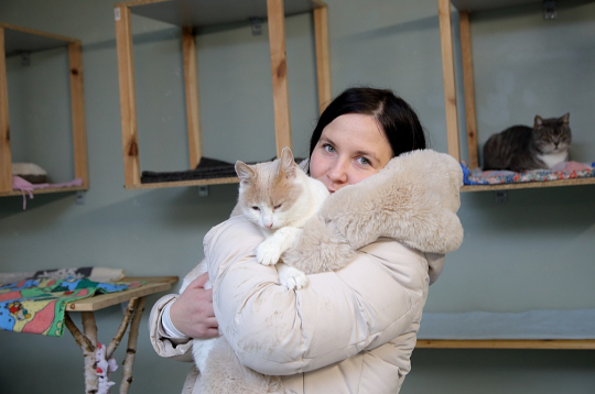 Dzīvnieku aizsardzības biedrības "Nika" vadītāja Inese Laukšteine: "Mums ir ļoti daudz adopciju, pēc dzīvniekiem brauc no visas Latvijas, arī no ārzemēm brauc. Domāju, ka no pašlaik patversmē esošajiem 70 kaķiem divu trīs mēnešu laikā visiem vai lielākajai daļai noteikti būsim sagādājuši jaunas mājas."