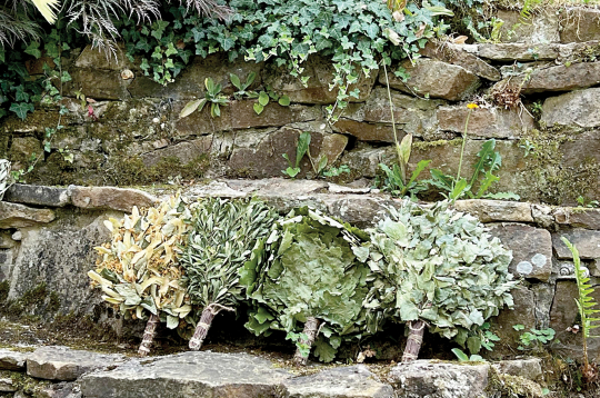 Līgas pirtsslotas. Līgas pirtsslotas.