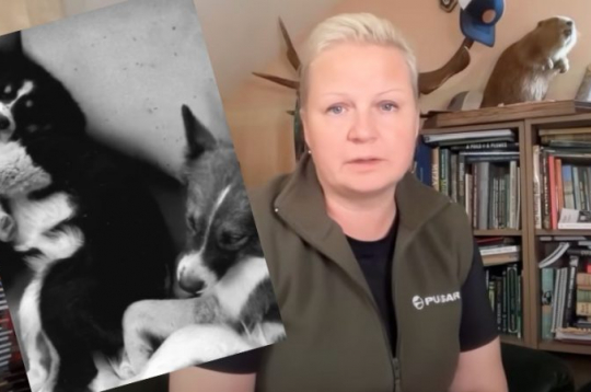 Žurnāla "Medības" galvenā redaktore Linda Dombrovska.
